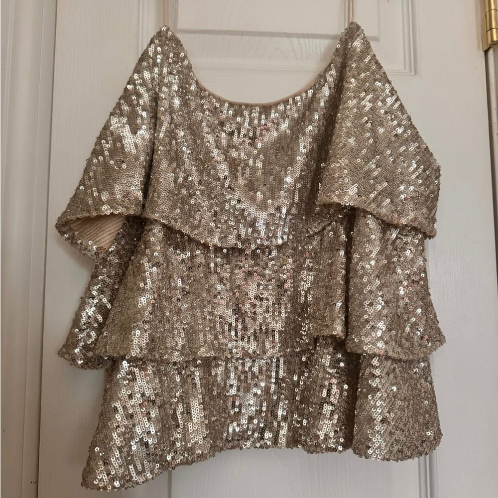 Express Shimmering Silver Sequin Top